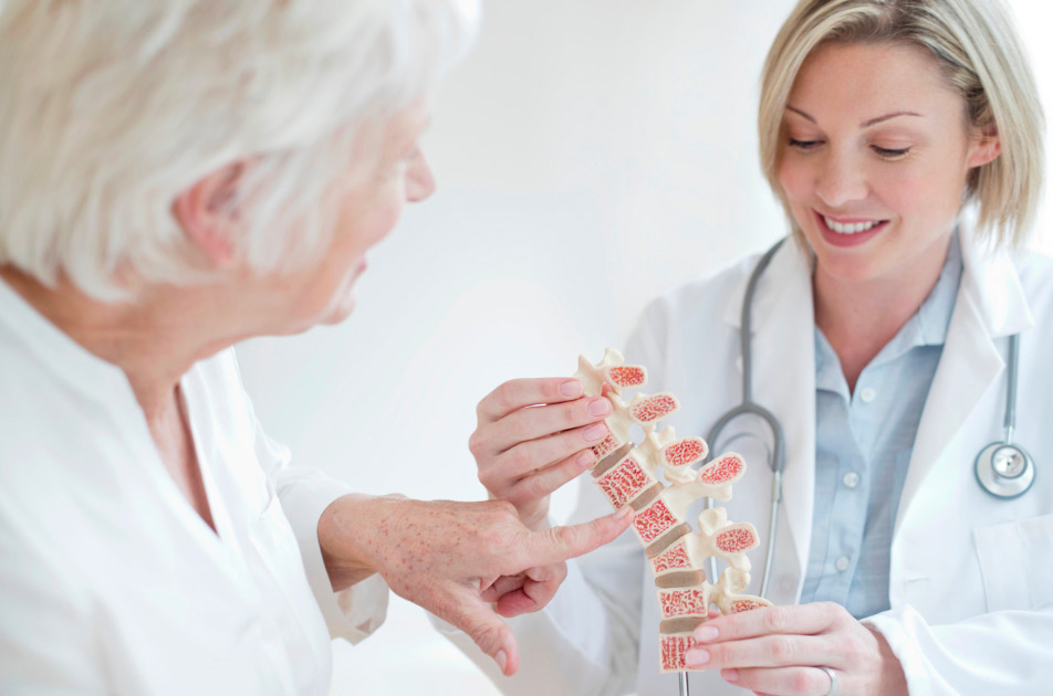 Al momento stai visualizzando L’osteoporosi, una malattia vascolare dell’osso
